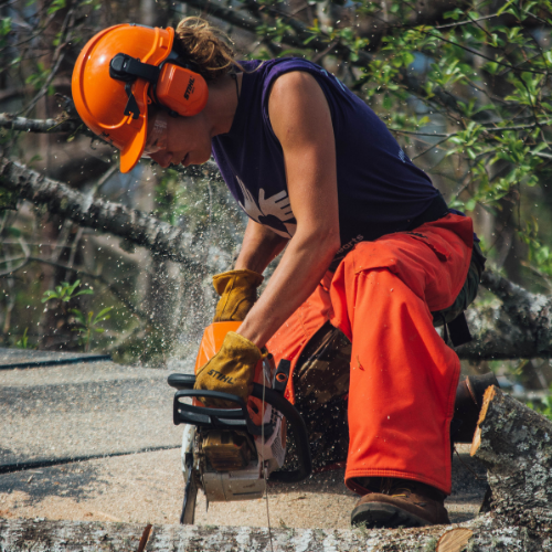 All Hands and Hearts Disaster Relief Tree Sawing