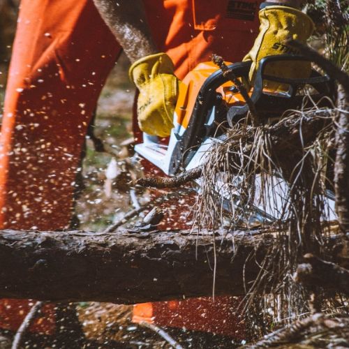 All Hands and Hearts Chainsawing All Hands and Hearts Chainsawing