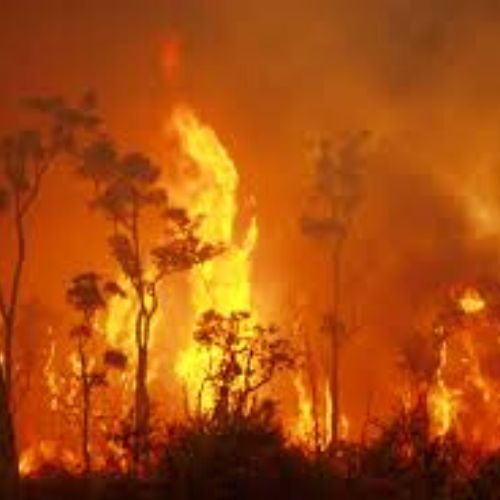 Australian Bushfires New South Wales
