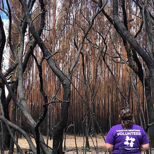 Australia Bushfire Relief