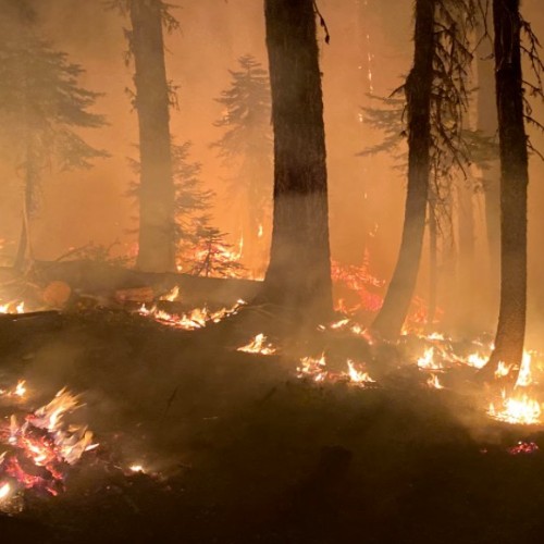 California Wildfire Embers Burn