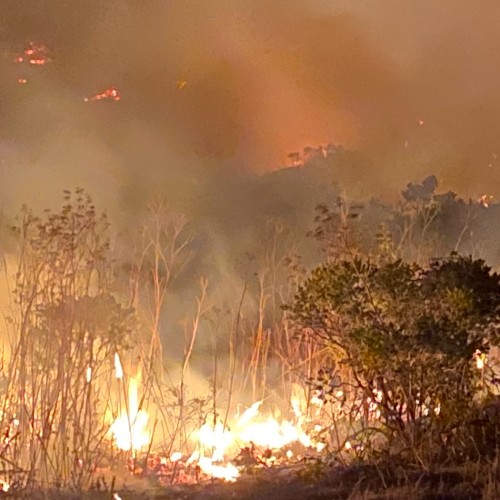 California Wildfire brush burning