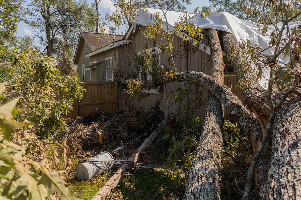 Fallen tree on a house in Louisiana