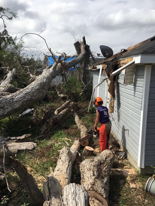 Volunteer using a chainsaw