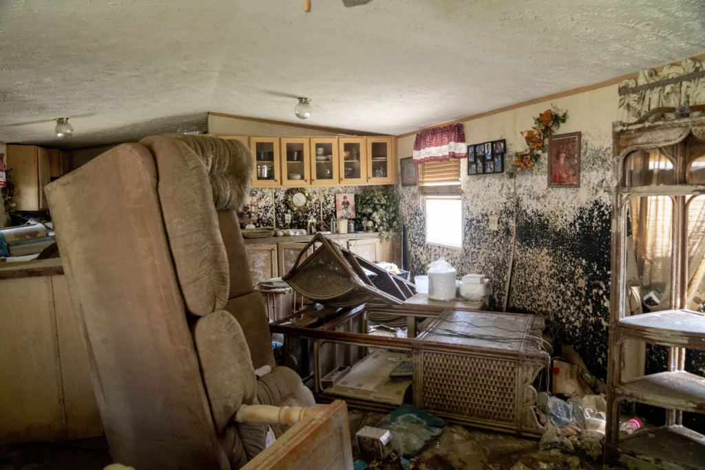 Crecimiento de moho en una casa dañada por una inundación, Kentucky