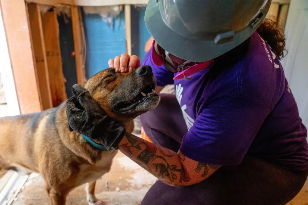 Voluntario acariciando a un perro en Kentucky