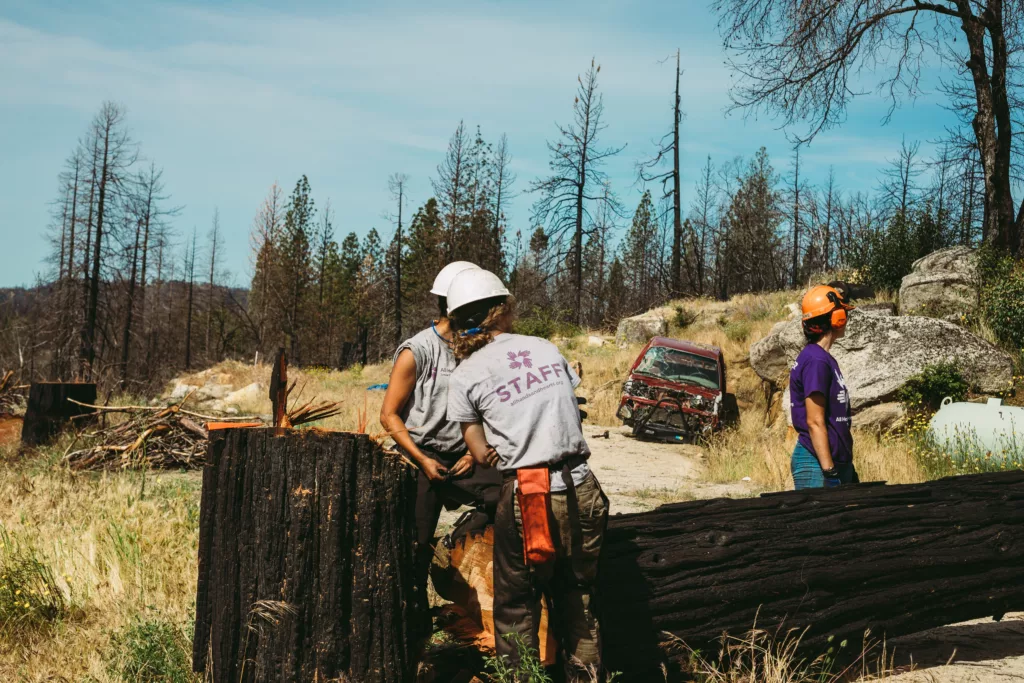 Sobre un fondo de destrucción, con un coche quemado y un bosque calcinado, dos miembros del personal de AHAH y un voluntario junto a un árbol de riesgo recién talado. Reducción de los riesgos que plantean los árboles inestables en California