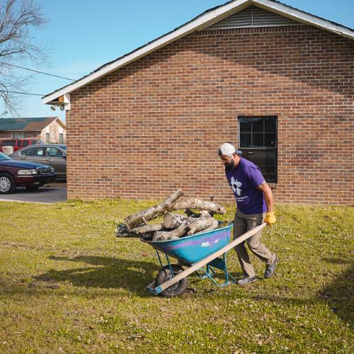 moving logs with wheelbarrow